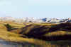 Bl1.jpg (49514 bytes)