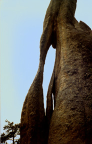 needles.jpg (24703 bytes)